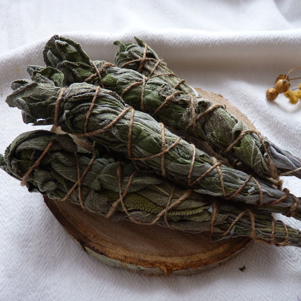 Bouquet de sauge blanche - BONNESOEURS